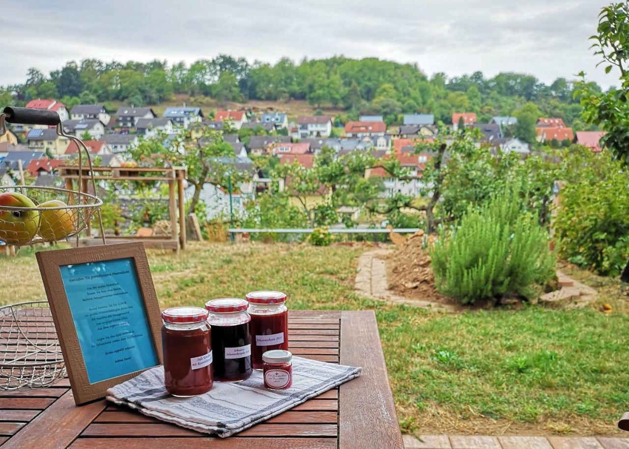 Ferienwohnung Im Paradies Momlingen Kültér fotó